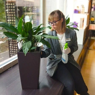 «Трудовая занятость? Стажировка? Трудоустройство?»